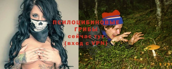 спайс Новозыбков