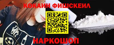 индика Пенза