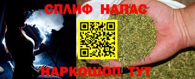 индика Пенза
