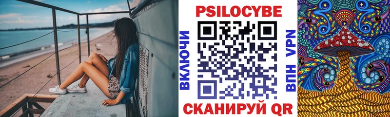 Псилоцибиновые грибы Psilocybine cubensis  Хабаровск 