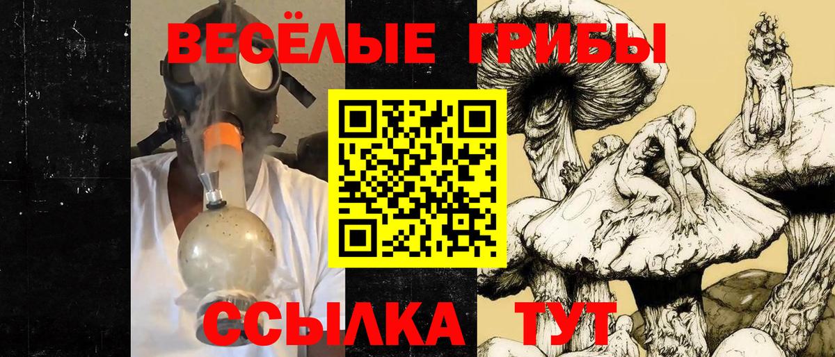 Галлюциногенные грибы мицелий  Галлюциногенные грибы GOLDEN TEACHER  Вход с VPN  Хабаровск 
